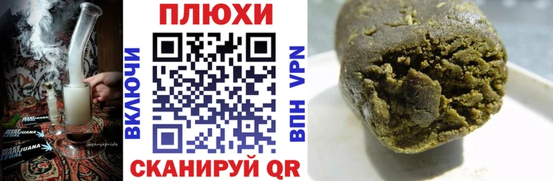 ГАШ Premium  Купить где  Суджа 